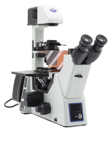 microscopio-fluorescenza-confocale